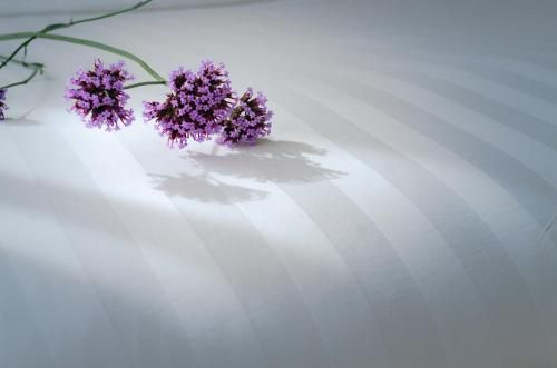 صورة الفندق 22
