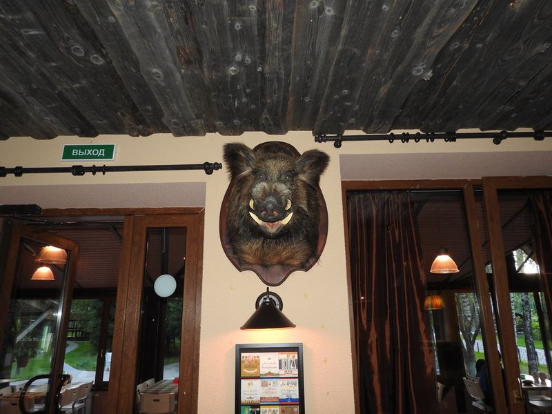 Hotel Photo 17