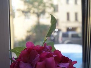 Отель Рубинштейна 5