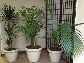 5 Комнат