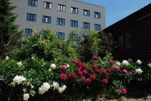 Hotel Photo 24