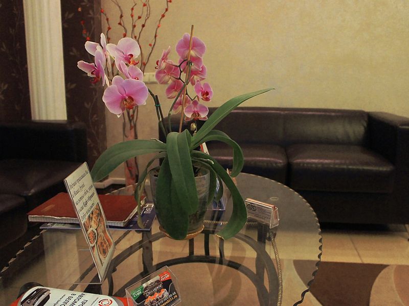 صورة الفندق 13