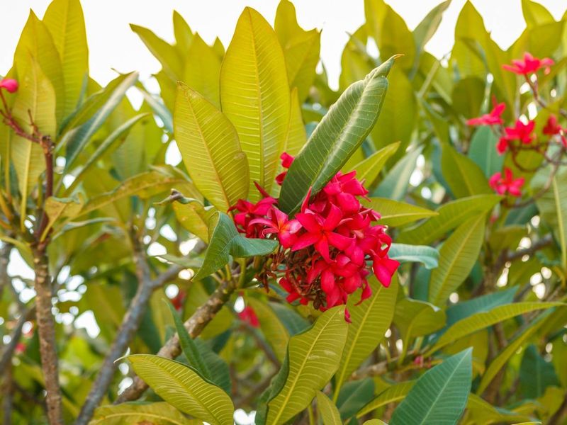 صورة الفندق 17