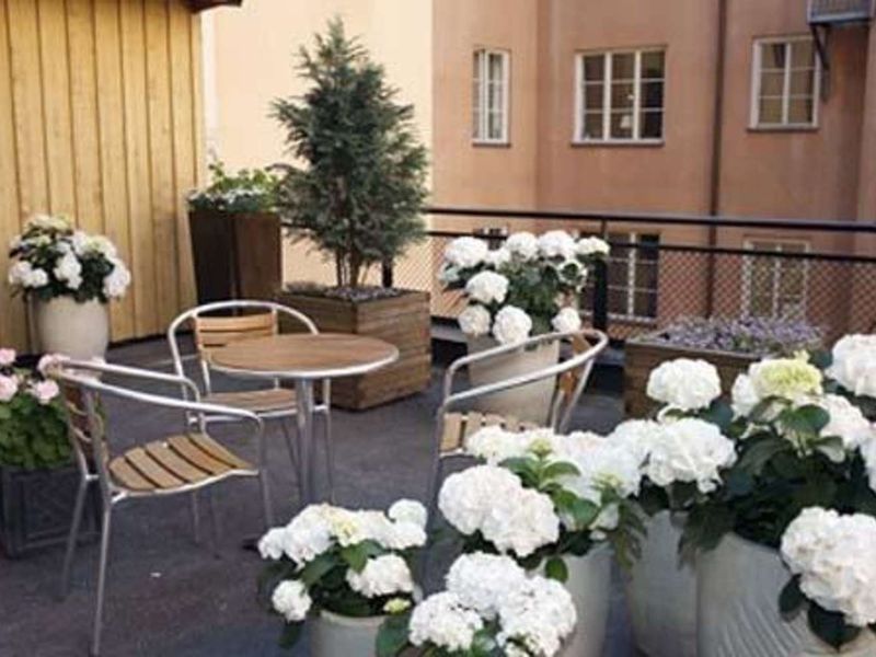 Hotel Photo 23