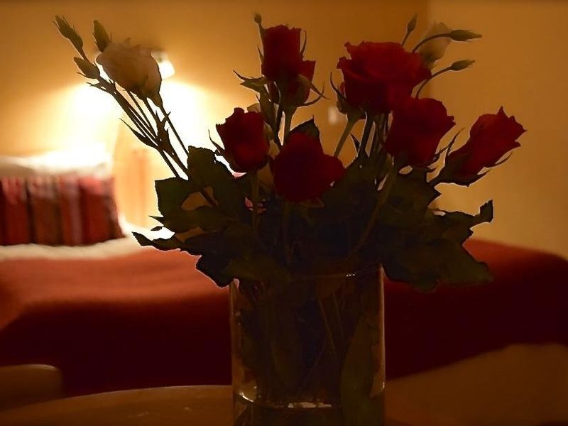 صورة الفندق 11
