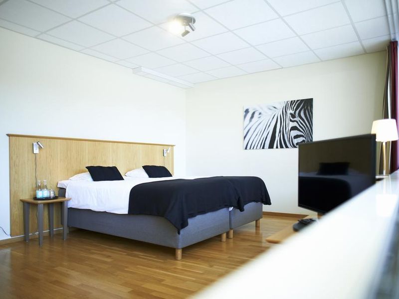 Hotel Photo 8