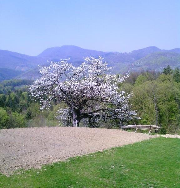 صورة الفندق 22