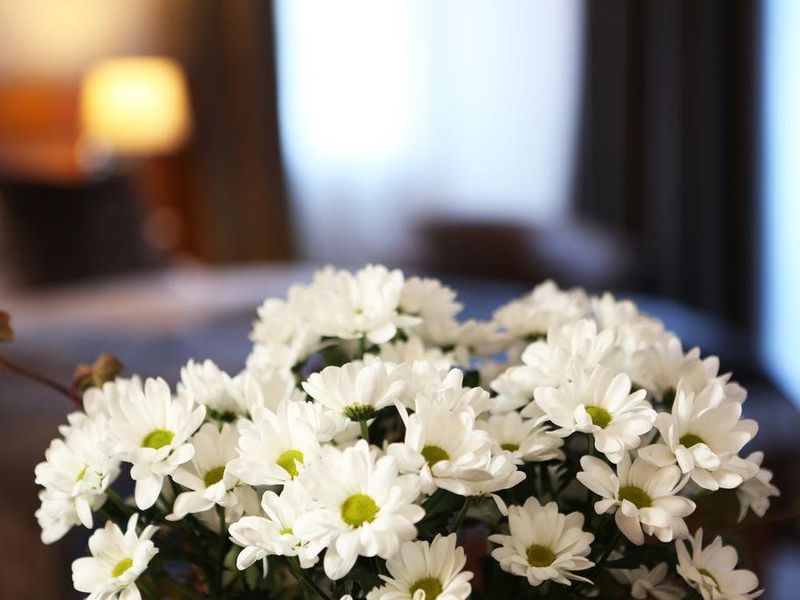 صورة الفندق 15