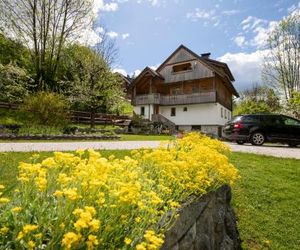 Apartments Mlin Bohinjska Bistrica Slovenia