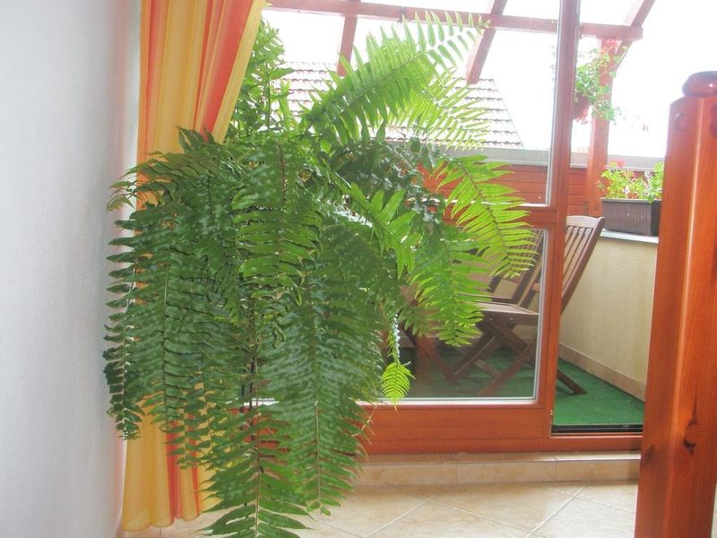 صورة الفندق 21