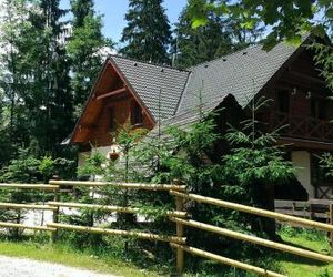 Chata Alpina Ruzomberok Slovakia