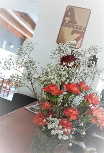 صورة الفندق 16