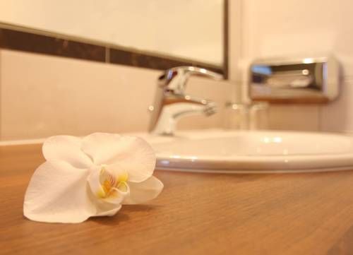 صورة الفندق 20