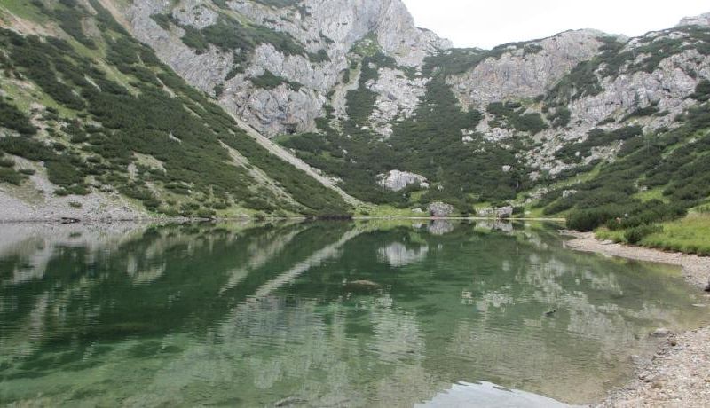 صورة الفندق 14