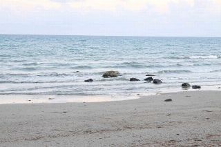 صورة الفندق 15