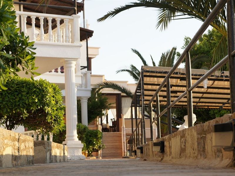 صورة الفندق 24