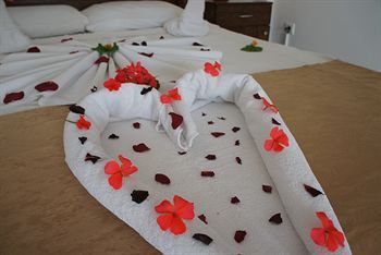 صورة الفندق 8