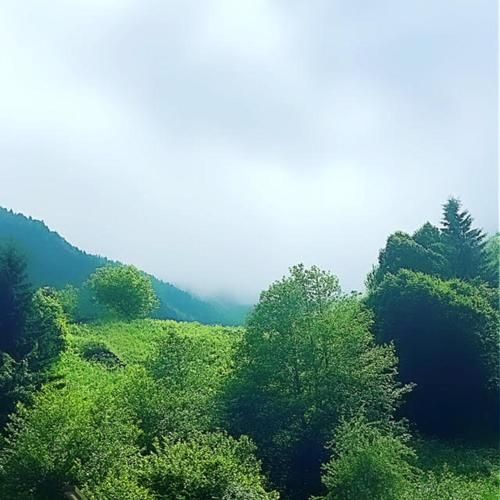 صورة الفندق 20