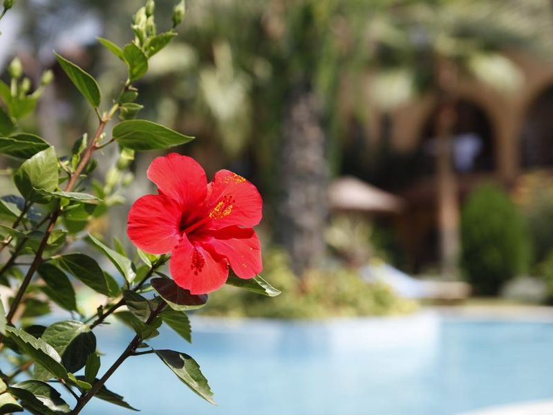 Hotel Photo 10