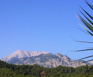 Sultan Homes Apartments Kemer Turkey