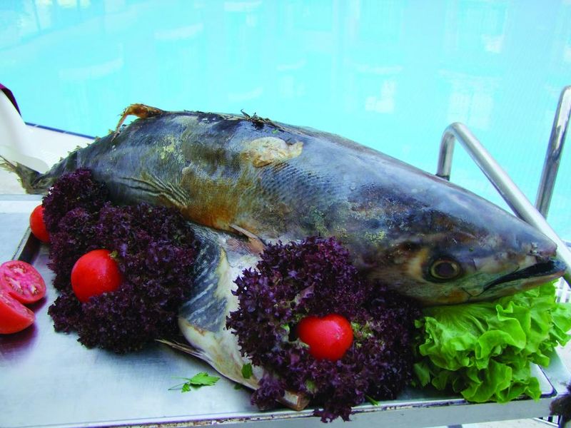 صورة الفندق 12