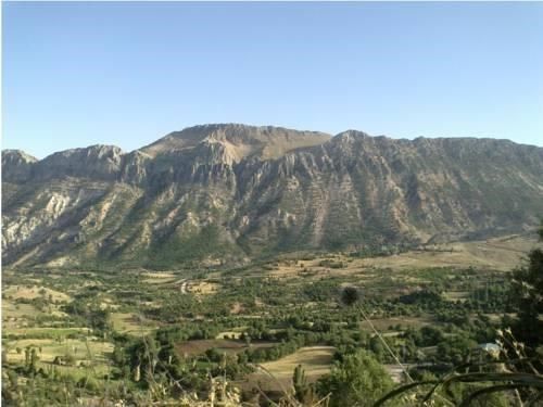 صورة الفندق 24