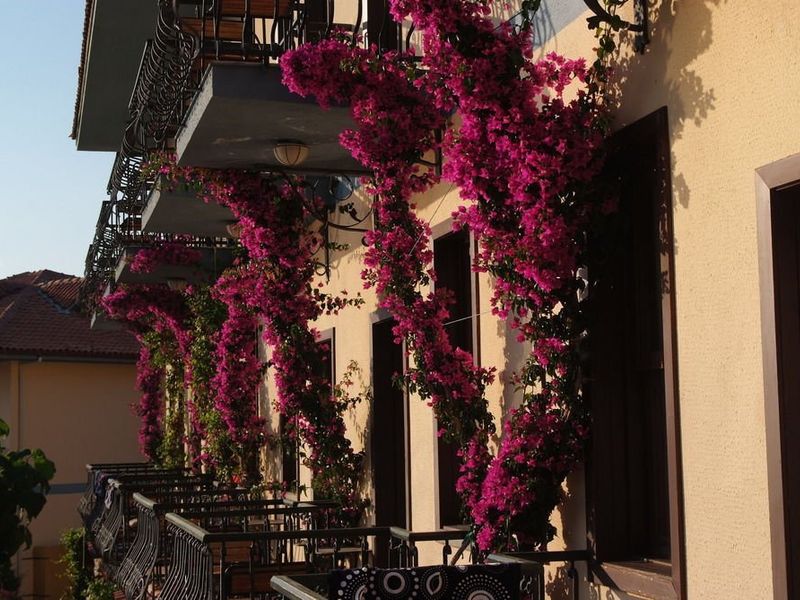 صورة الفندق 17