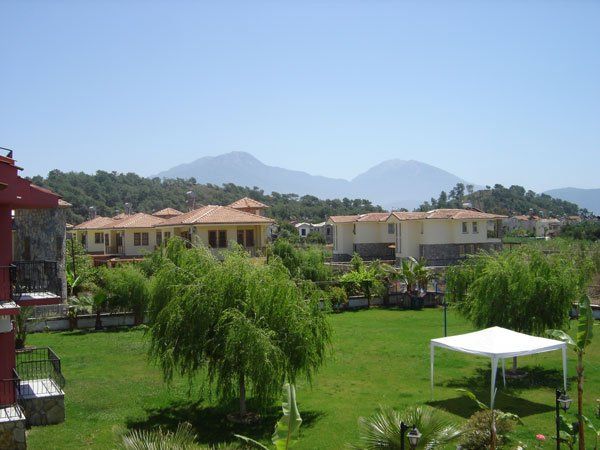 صورة الفندق 24