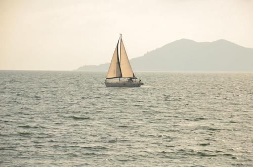 صورة الفندق 24