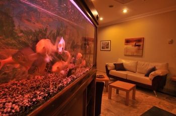 صورة الفندق 12