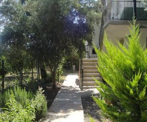 Cemils Pension Olympos Turkey