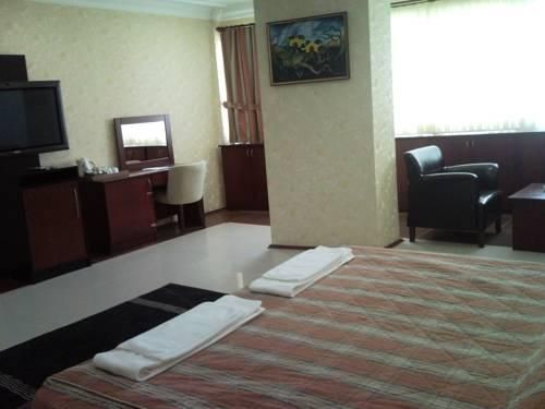 Hotel Photo 8