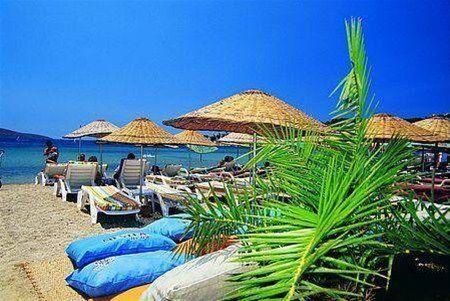 صورة الفندق 1