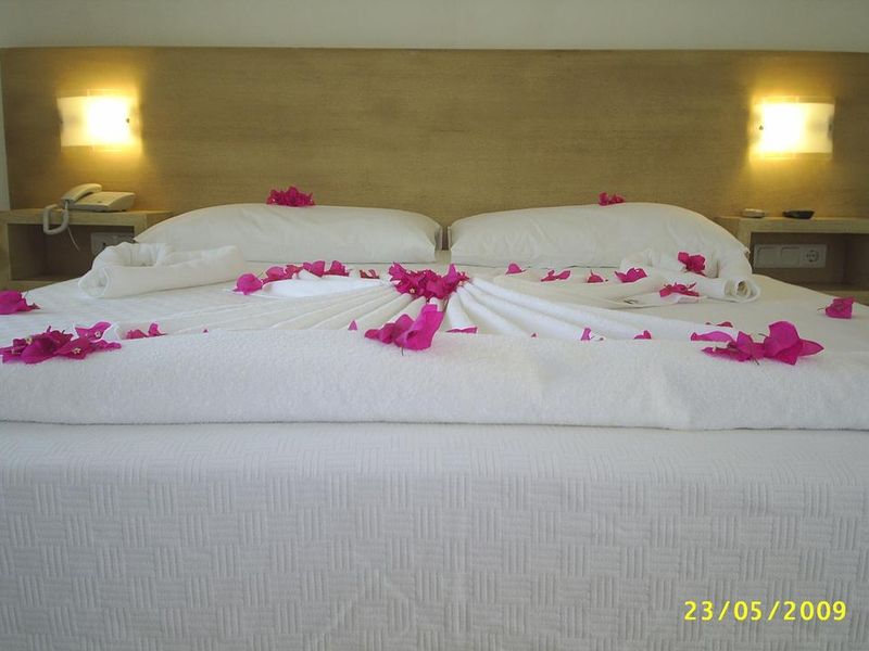 صورة الفندق 7