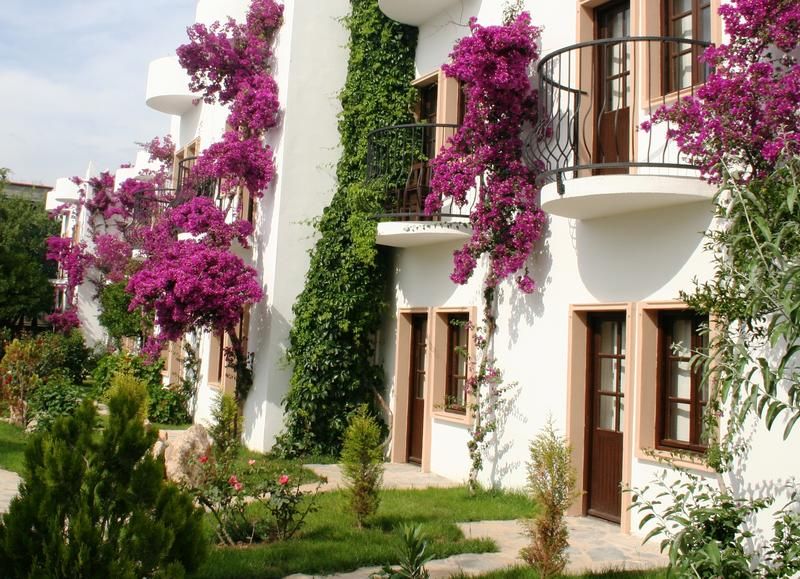صورة الفندق 1
