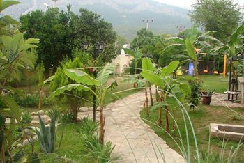 صورة الفندق 19