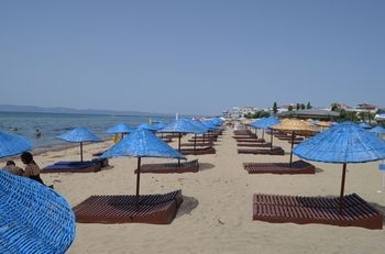 صورة الفندق 24