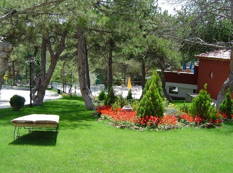 Hotel Photo 7