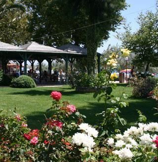 صورة الفندق 3