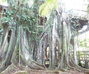 Topos Tree House Cahuita Costa Rica