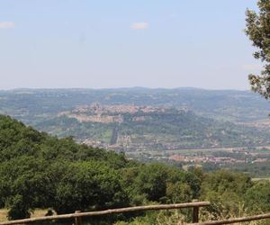 Agriturismo Fattoria Poggio Boalaio Orvieto Italy