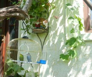 Guest House Viola Alushta Autonomous Republic of Crimea