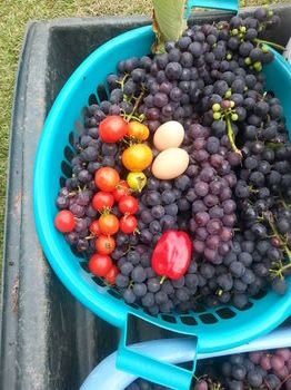 صورة الفندق 14