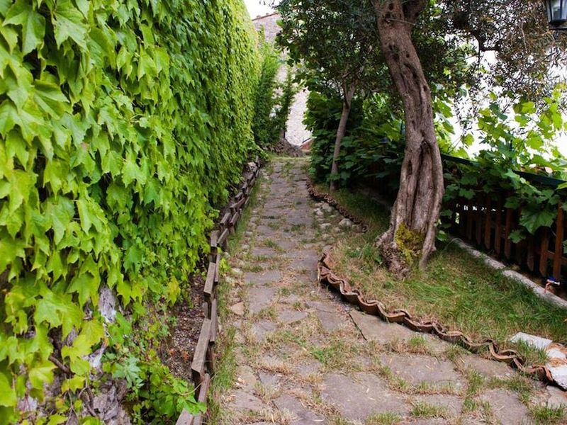 صورة الفندق 10