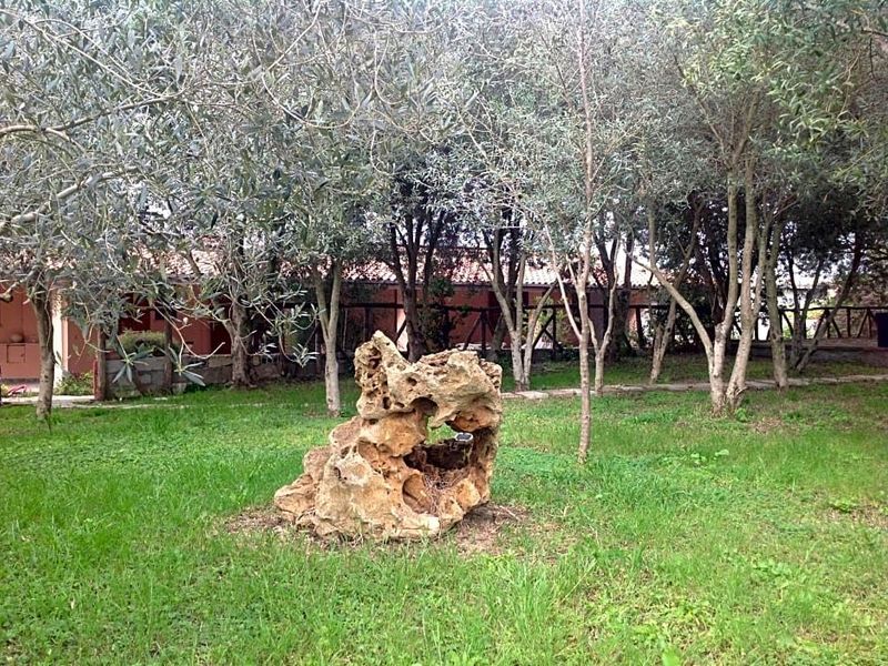 صورة الفندق 6