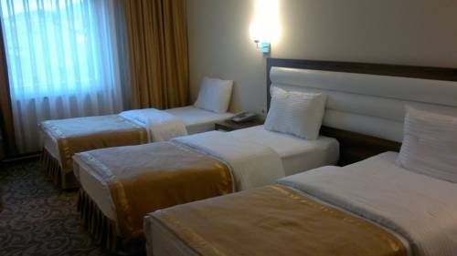 Hotel Photo 13