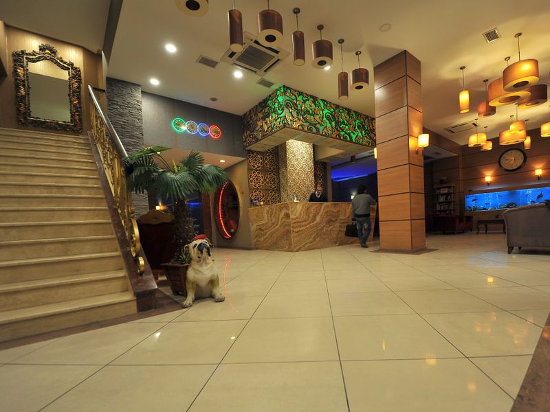 Hotel Photo 16