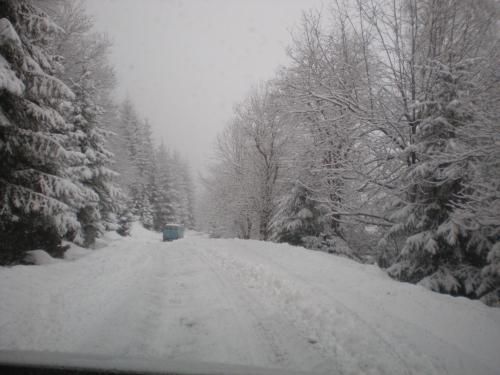 صورة الفندق 18