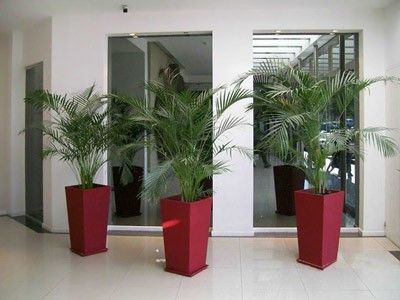 صورة الفندق 4