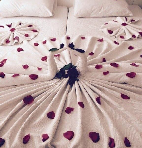 صورة الفندق 13